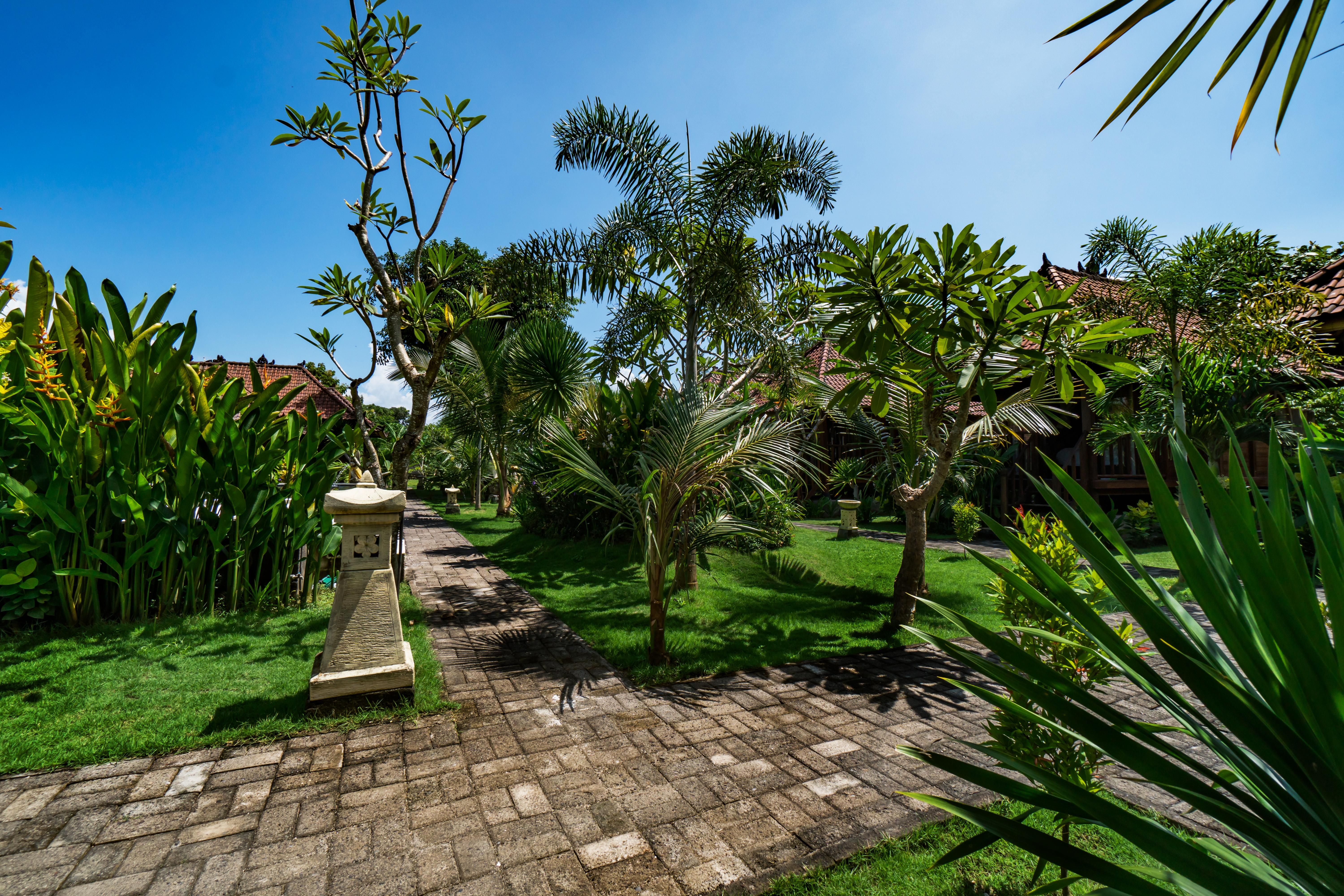 The Cozy Villas Lembongan Ngoại thất bức ảnh